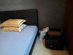 Blk 916 TAMPINES PALMSVILLE (Tampines), HDB 4 Rooms #546566511